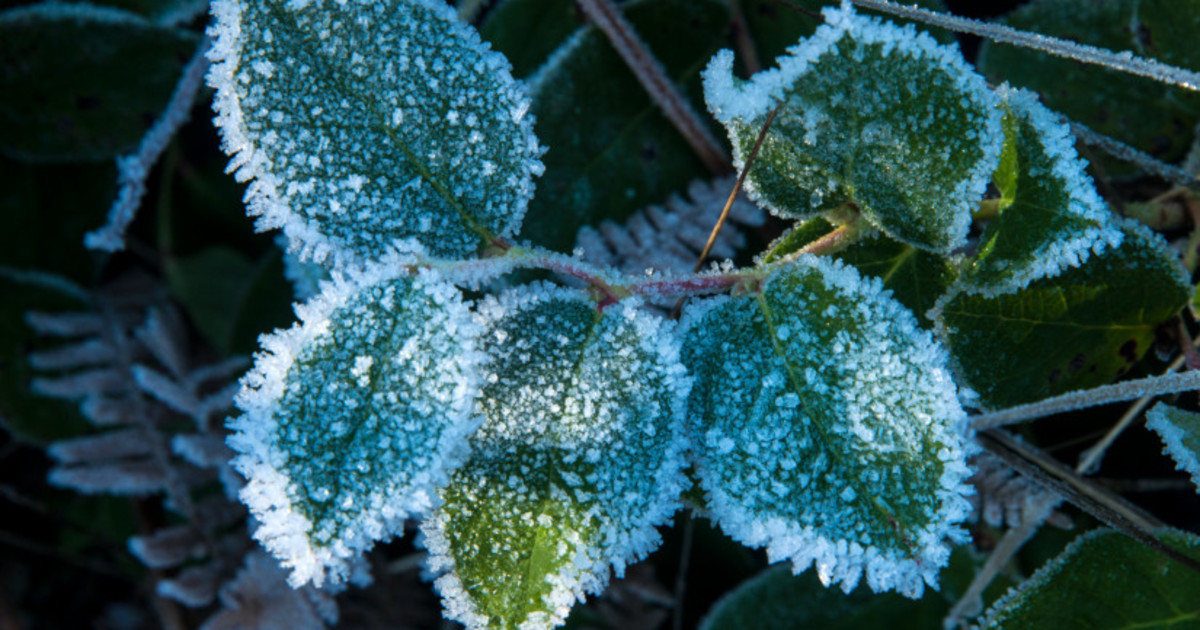 Hírklikk A jövő hét elején akár mínusz 15 Celsius fok alá is hűlhet a