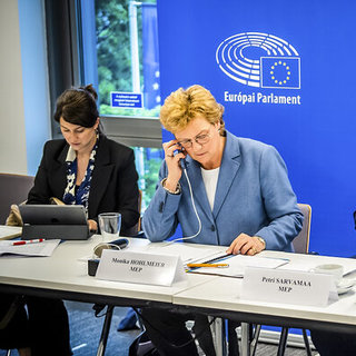 "Irritáló, ahogyan az Orbán-kormány igyekszik helyzetbe hozni a hozzá közel álló vállalkozásokat"