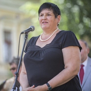 A kárpátaljai magyarság „kitartó szívóssággal" kéri vissza az anyanyelvi oktatás terén elvett jogait