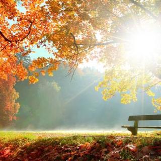 Napos idővel indul a jövő hét, majd hidegfront érkezik, lehűléssel