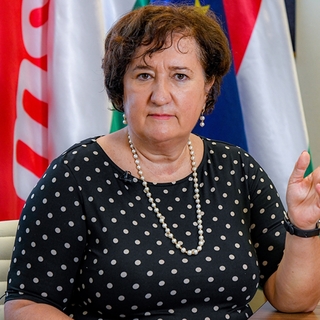 Az MSZP kormányzati tájékoztatást vár el az ácsi katódgyár ügyében