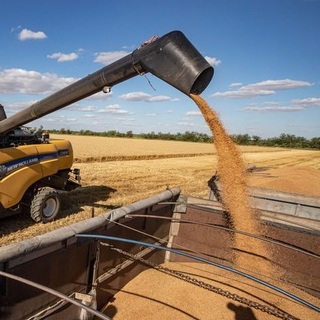 Az Európai Bizottság nem hosszabbítja meg az ukrán gabonára vonatkozó behozatali tilalmat