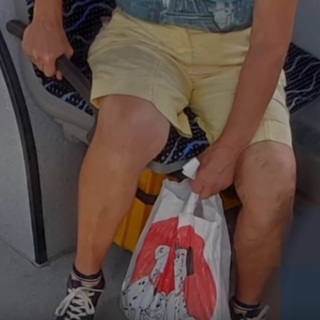 Nejlonszatyorba csomagolt egy kiskutyát egy nő a buszon