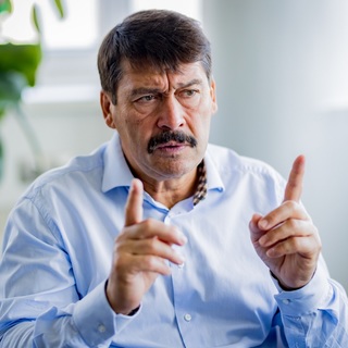 Áder János: nincs szégyenkeznivalója Magyarországnak a zöld átállásban
