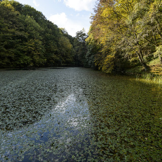 Leeresztik Magyarország egyik legszebb tavának vizét