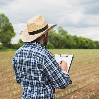 7,4 milliárd forintot oszt szét több mint 70 ezer termelő között az államkincstár
