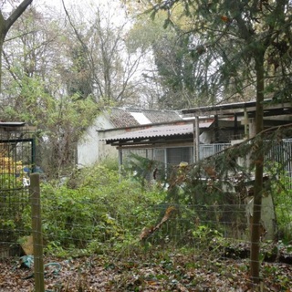 Lőteret, utat vegyenek!