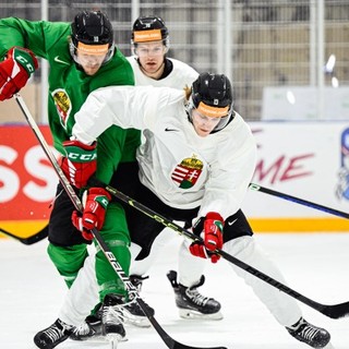 Dan MacAdam lett a magyar férfi jégkorong-válogatott szövetségi kapitánya