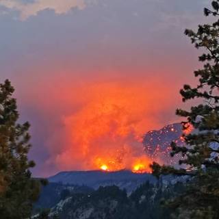 Veszélyben a tűzifa, nem bírják az időjárást az erdők