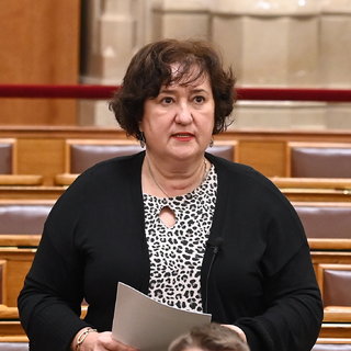 Milyen jogon kockáztatják emberek ezreinek az életét a hitvány titkolózással? - tette fel a kérdést Gurmai Zita