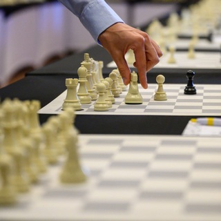 A férfiak és a nők is legyőzték a finneket a sakk csapat Eb-n