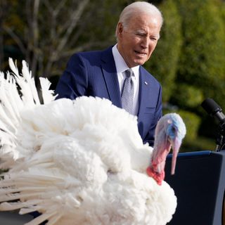 Joe Biden kegyelemben részesített két pulykát