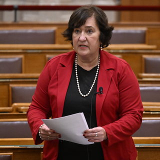 Gurmai: a Fidesz gyermekellenes politikája miatt születik kevesebb gyerek