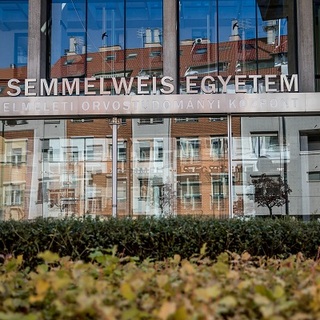 Remekeltek a leendő doktorok