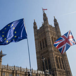 Csökkent kognitív képességekkel rendelkeznek a Brexitre szavazók