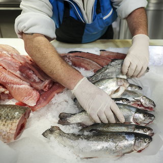 Ennek az állatnak a fogyasztásra biztatja a kormány a magyarokat