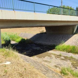 Engedély nélkül építettek gátat a Tarnára, védett állatfajok tömegei pusztultak el