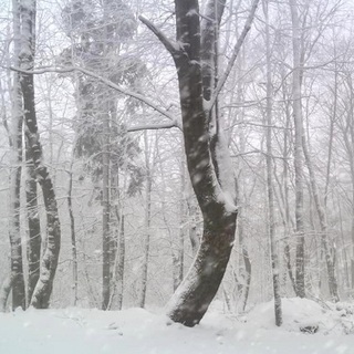 Elő a szánkót...a hegyekben