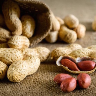 Itt ne vegyen mogyorót és mandulabelet