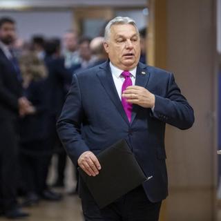 Kirakták, mint macskát kávézni