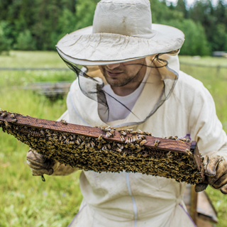 Egymilliárd forint állatjóléti támogatást fizet a méhészeknek a Magyar Államkincstár