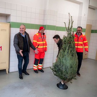 Fenyőfákkal köszönte meg a mentőszolgálat munkáját az agrárminiszter