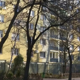 Hét éves kislány mentette meg édesanyja és húga életét