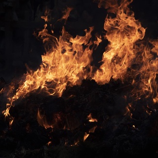 Eloltották a tüzet az Új köztemetőben