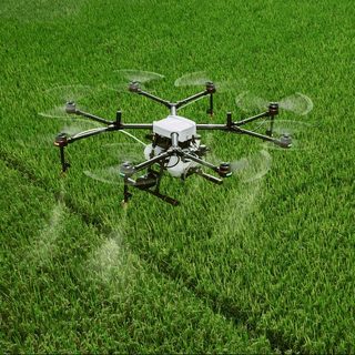 Szigorúak a feltételek, csak így lehet drónnal permetezni Magyarországon