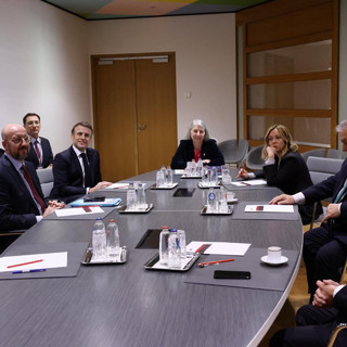 Svédek és magyarok: kutyakomédia a köbön