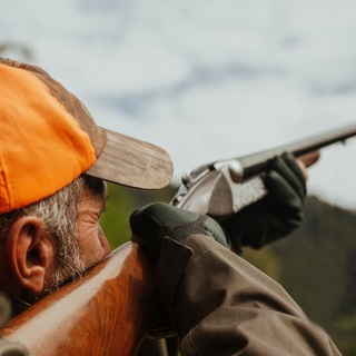 Vadászat közben meglőttek egy kirándulót a Bükkben