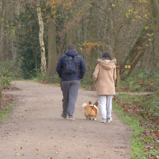 Folytatódik a tavaszias időjárás a jövő héten