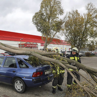 Az erős szél miatt autókra, sínekre dőlt fák alól mentenek a tűzoltók