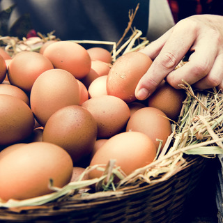 Már csak ilyen tojás kapható a magyarországi élelmiszerlánc egyes üzleteiben