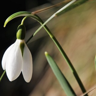 Napos idő várható a jövő héten