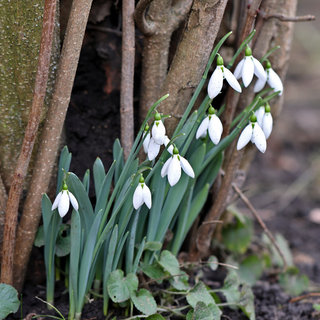 Február második felében is melegebb van, mint a megszokott
