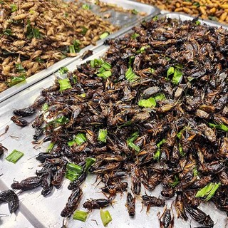 Magyarország is felkerül az európai rovarbiznisz térképre