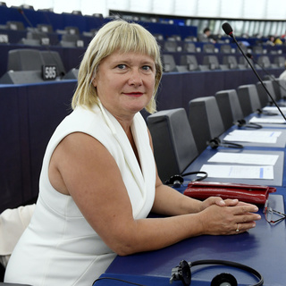 A Fidesz EP-képviselője elítélte az orosz agressziót