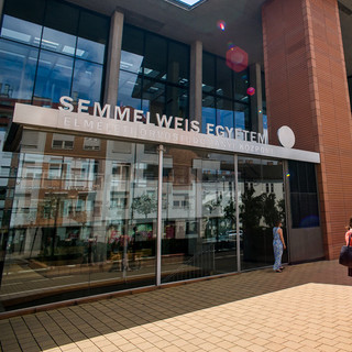 Három új szakterülettel bővül a Semmelweis Egyetem profilja