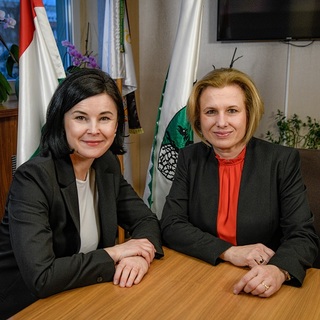 Szücsné Posztovics Ilona: együtt, összefogásban induljunk a választásokon! 