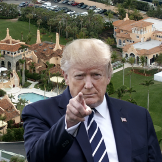 A floridai házigazda és vendége