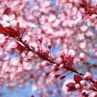 Melegrekordokkal indult a március is