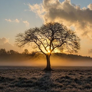 Meteorológia: ez volt a legenyhébb tél a mérések kezdete óta Magyarországon
