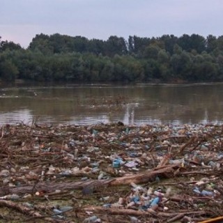 Másfél tonna hulladékot gyűjtöttek össze a Tisza árteréből