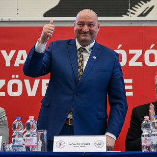 Újabb öt évre Németh Szilárdot választották a Magyar Birkózók Szövetség elnökévé