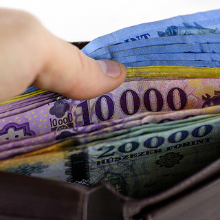 Készpénzhasználat joga: mintha a telefonfülkében való telefonálást alkotmányos joggá nyilvánítanák