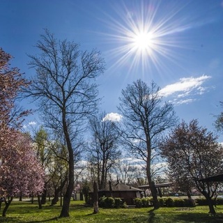 Tavaszias idő várható a hosszú hétvégén