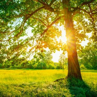 Többet látjuk a napot vasárnap