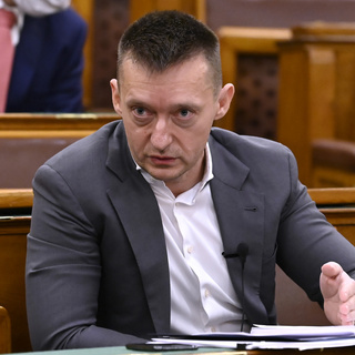 Tizenegymilliárd nemzeti szuverenitásról szóló konzultációra?