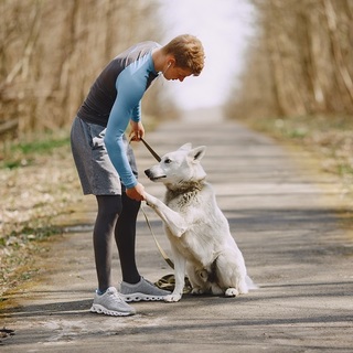 ELTE-kutatás: a kutyák az emberekhez hasonlóan értik a szavakat